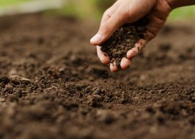 Expert hand of farmer checking soil health before growth a seed of vegetable or plant seedling. Gardening technical, Agriculture concept.